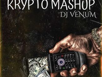 Dj Venum – Krypto Mashup Mp3 Download
