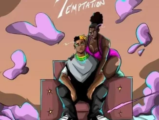 Ayanfe – Temptation Mp3 Download