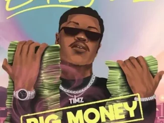 Bad Boy Timz – Big Money Mp3 Download