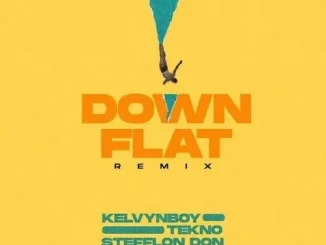 Kelvyn Boy ft. Tekno, Stefflon Don – Down Flat (Remix) Mp3