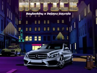 Notice by Boylankhy ft. Dejavu Sounds