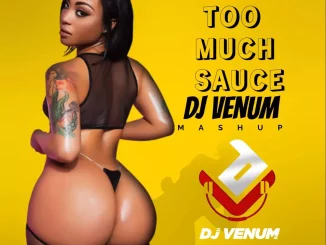 Too Much Sauce (Mashup) by Dj Venum